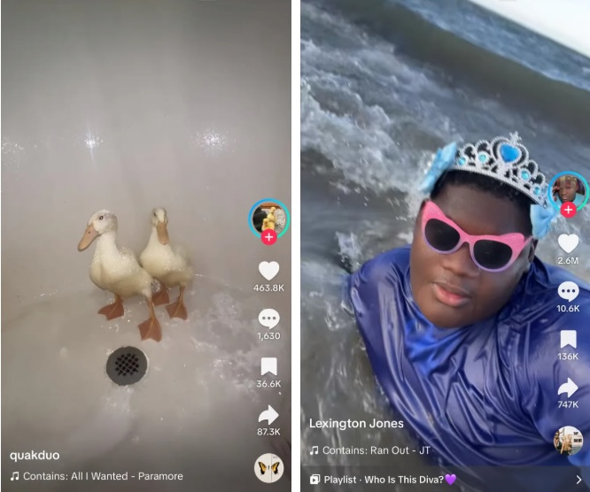 Слева утки в ванной, справа человек лежит на пляже в очках и короне